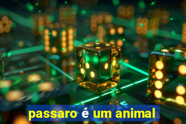 passaro é um animal