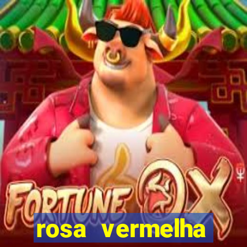 rosa vermelha (letra e cifra)