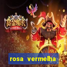 rosa vermelha (letra e cifra)