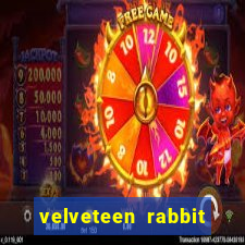 velveteen rabbit the 