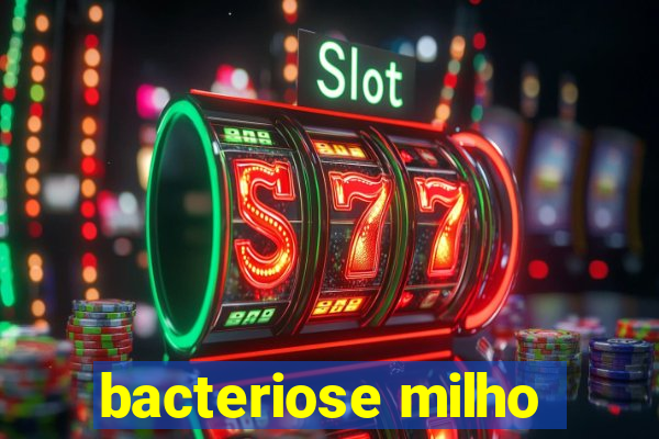 bacteriose milho