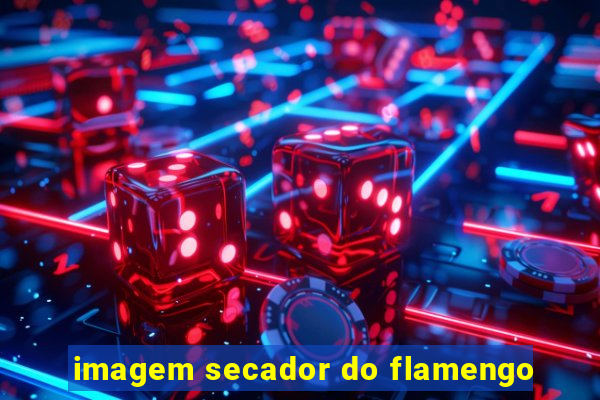 imagem secador do flamengo