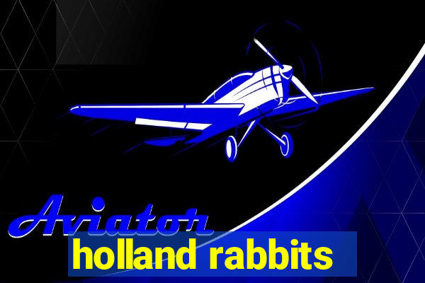 holland rabbits