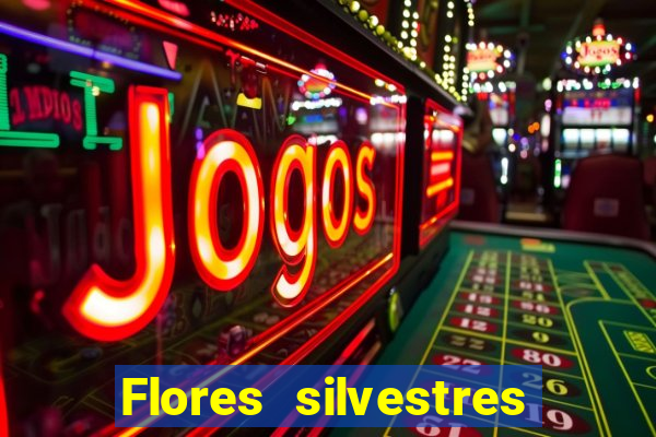 Flores silvestres brasileiras 25