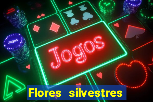 Flores silvestres brasileiras 25