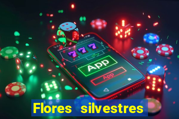 Flores silvestres brasileiras 25