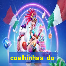 coelhinhas do brasil site