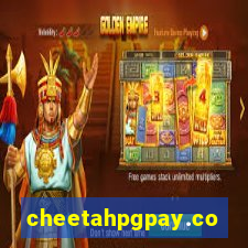 cheetahpgpay.com