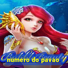 numero do pavao