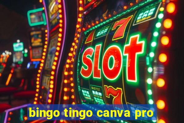 bingo tingo canva pro