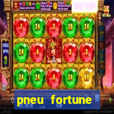 pneu fortune reclame aqui