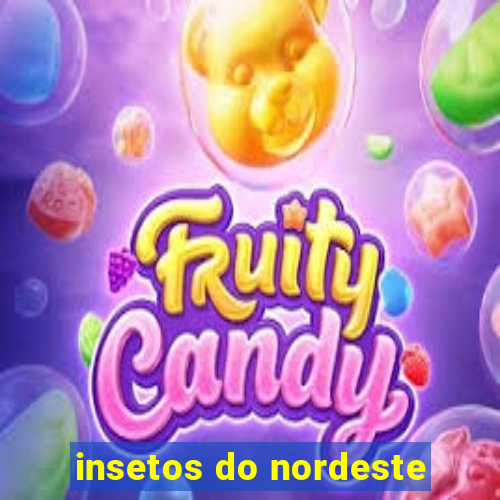 insetos do nordeste