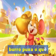 burro puxa o quê