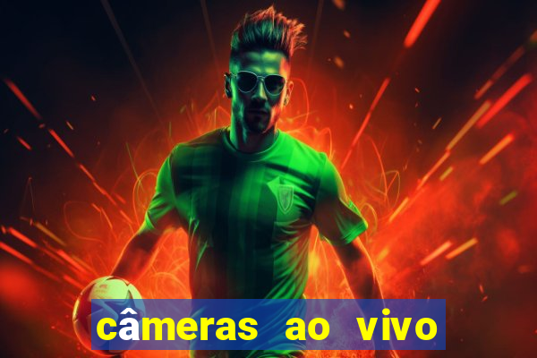 câmeras ao vivo santos gonzaga