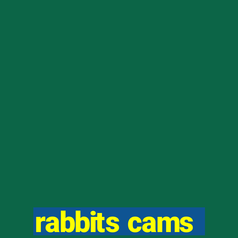 rabbits cams