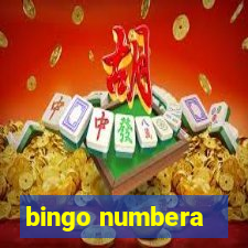 bingo numbera