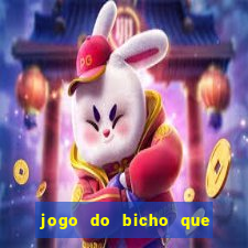 jogo do bicho que paga no pix