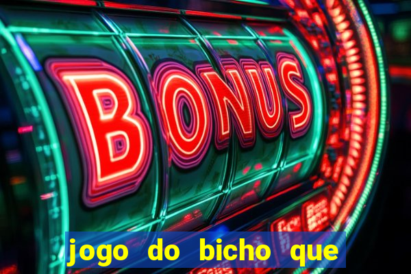 jogo do bicho que paga no pix