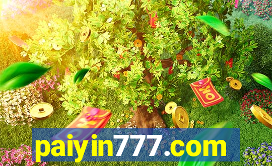 paiyin777.com