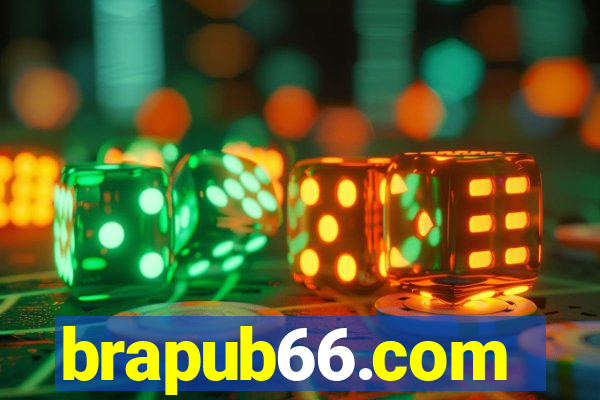 brapub66.com