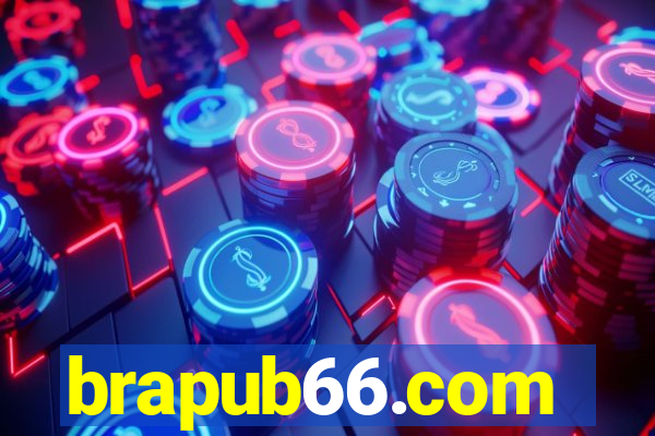 brapub66.com