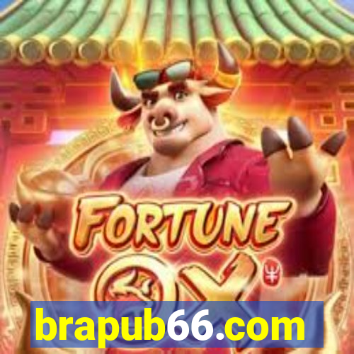 brapub66.com