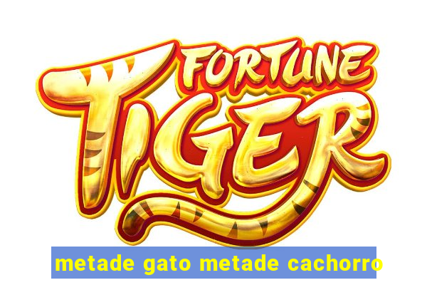 metade gato metade cachorro