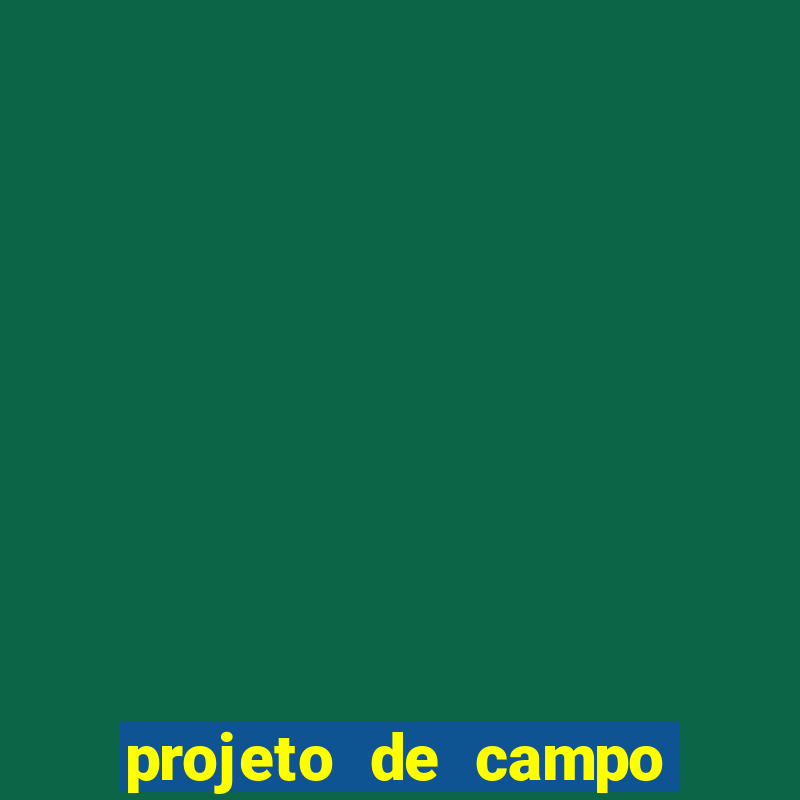 projeto de campo de futebol em cad