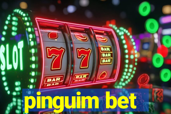 pinguim bet