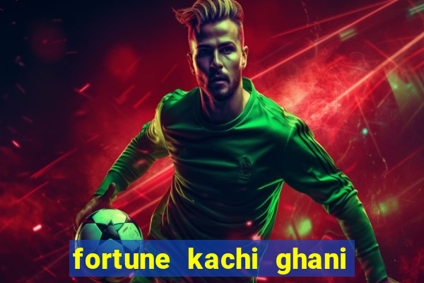 fortune kachi ghani oil 15kg tin online