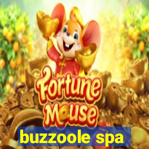 buzzoole spa