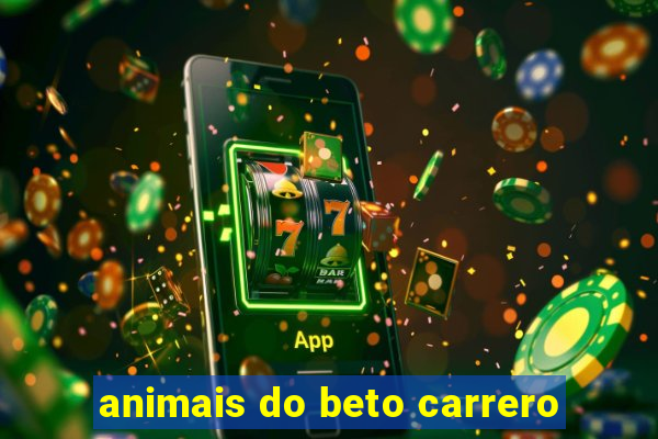 animais do beto carrero