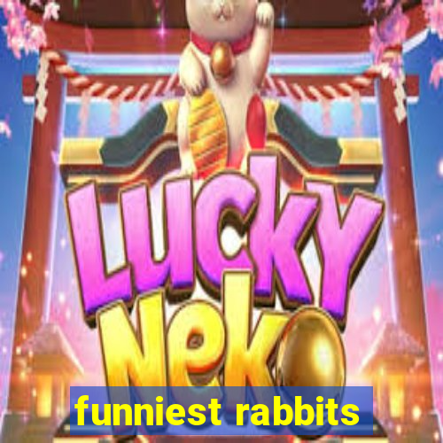 funniest rabbits