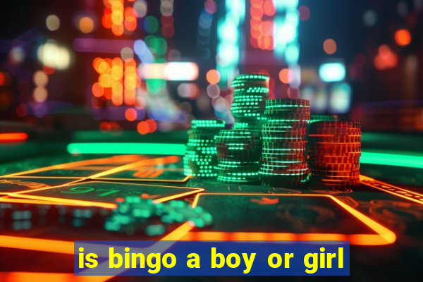 is bingo a boy or girl