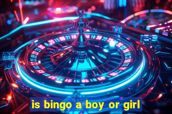 is bingo a boy or girl