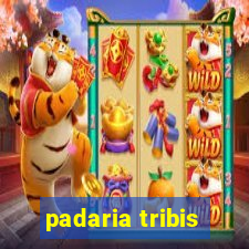 padaria tribis