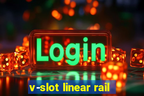 v-slot linear rail