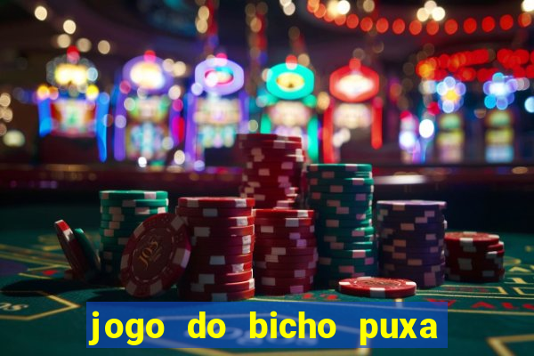 jogo do bicho puxa de dona maria