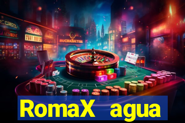 RomaX agua sanitaria fispq agua sanitaria romax