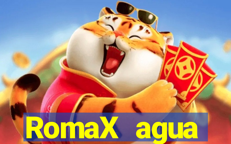 RomaX agua sanitaria fispq agua sanitaria romax