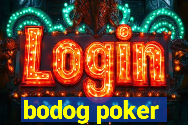 bodog poker