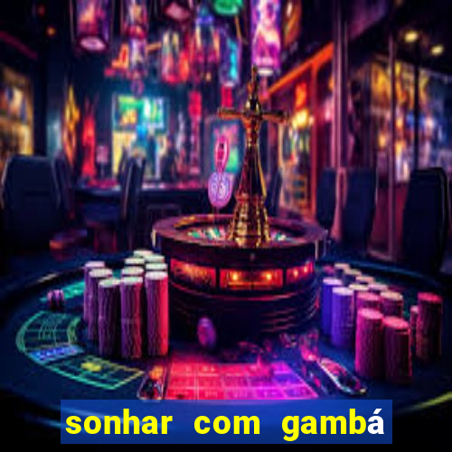 sonhar com gambá jogo do bicho