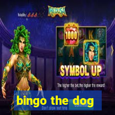 bingo the dog