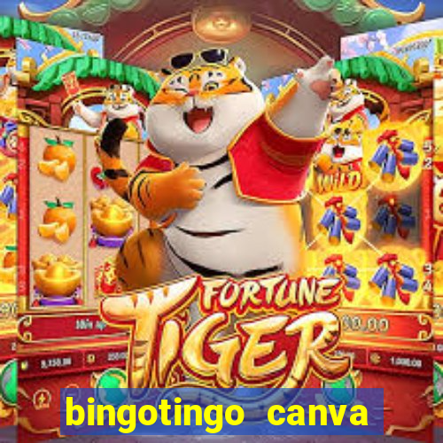 bingotingo canva pro gratis