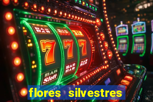 flores silvestres desbravadores desbravadores 25