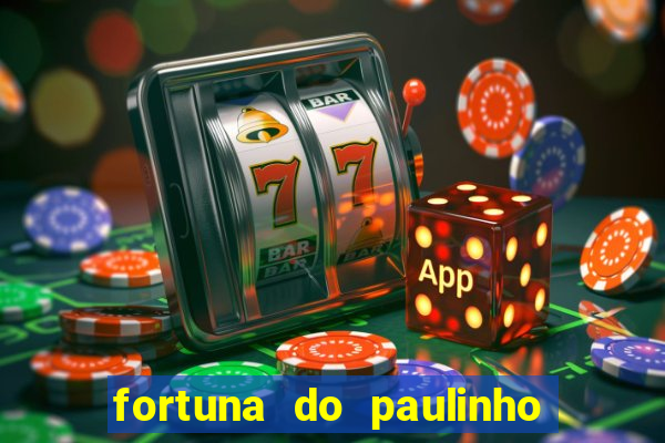 fortuna do paulinho do roupa nova