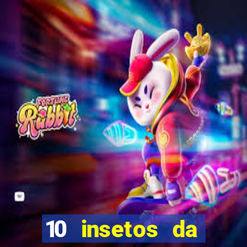 10 insetos da região sudeste