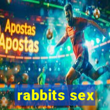 rabbits sex