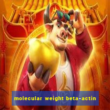 molecular weight beta-actin