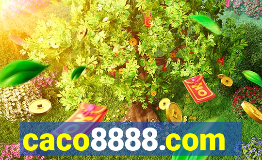 caco8888.com